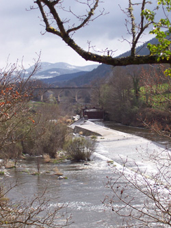  saint Jacques de Compostelle 